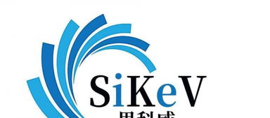 企業(yè)數(shù)字化形象構(gòu)建 從網(wǎng)站建設(shè)到電商設(shè)計(jì)與品牌策劃