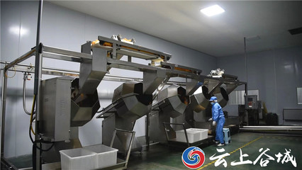 谷城石花鎮 以特色農產品深加工為引擎，驅動農業產業鏈優化升級